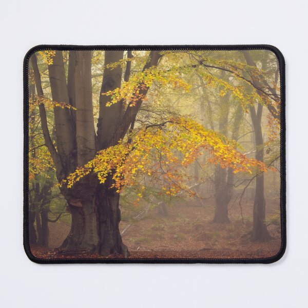 Item preview, Golden Leaves on Beech Tree in Autumn designed and sold by AnitaLynne.