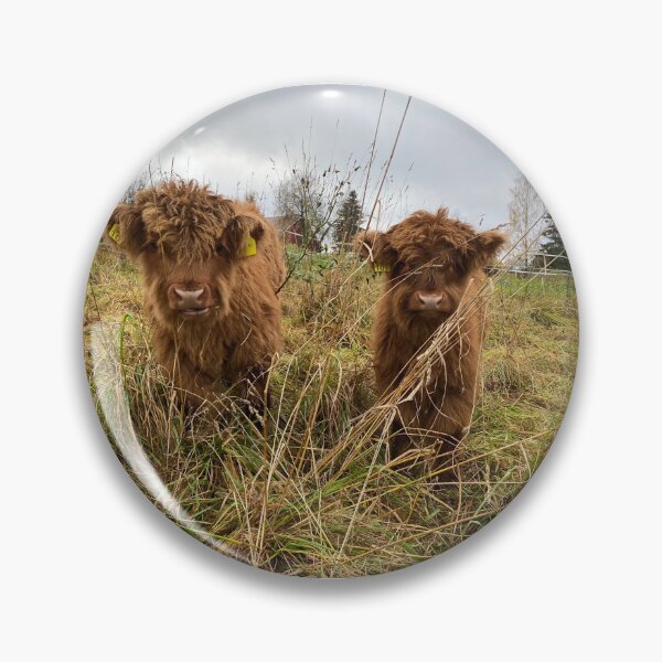 Artikelvorschau, Scottish Highland Cattle Calves 4129 entworfen und verkauft von SaarelaHighland.