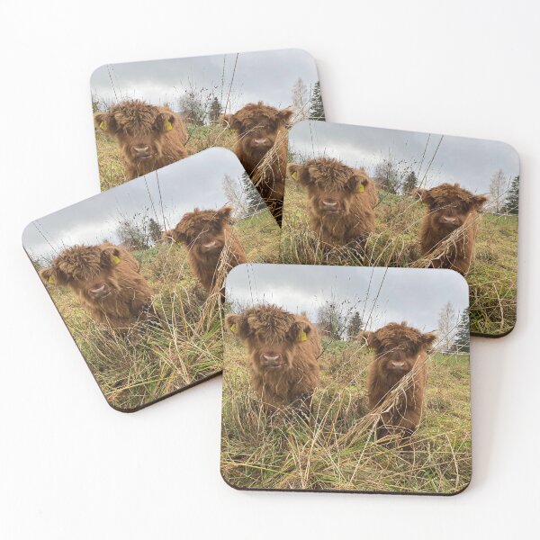 Artikelvorschau, Scottish Highland Cattle Calves 4129 entworfen und verkauft von SaarelaHighland.
