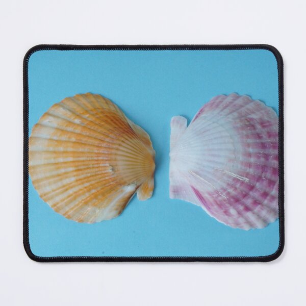 Item preview, Scallop Shells on Sea Blue designed and sold by Stephen Frost.
