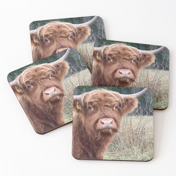 Item preview, Scottish Highland Cattle Cow 4131 designed and sold by SaarelaHighland.