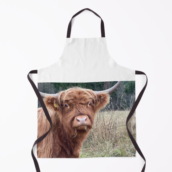 Aperçu de l'œuvre Scottish Highland Cattle Cow 4131 créée et vendue par SaarelaHighland.