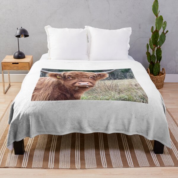 Item preview, Scottish Highland Cattle Cow 4131 designed and sold by SaarelaHighland.