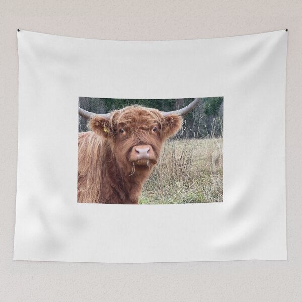 Item preview, Scottish Highland Cattle Cow 4131 designed and sold by SaarelaHighland.