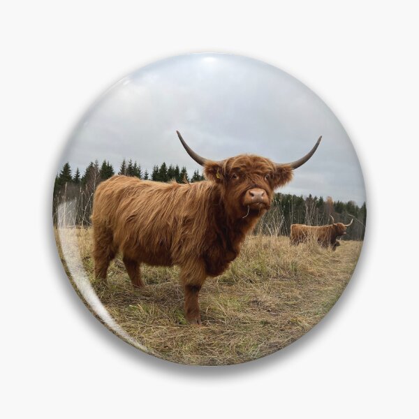 Artikelvorschau, Scottish Highland Cattle Cow 4132 entworfen und verkauft von SaarelaHighland.