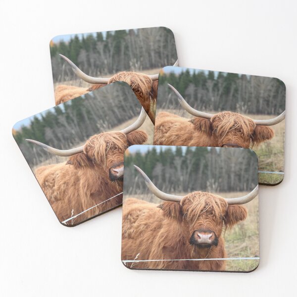 Artikelvorschau, Scottish Highland Cattle Cow 4133 entworfen und verkauft von SaarelaHighland.