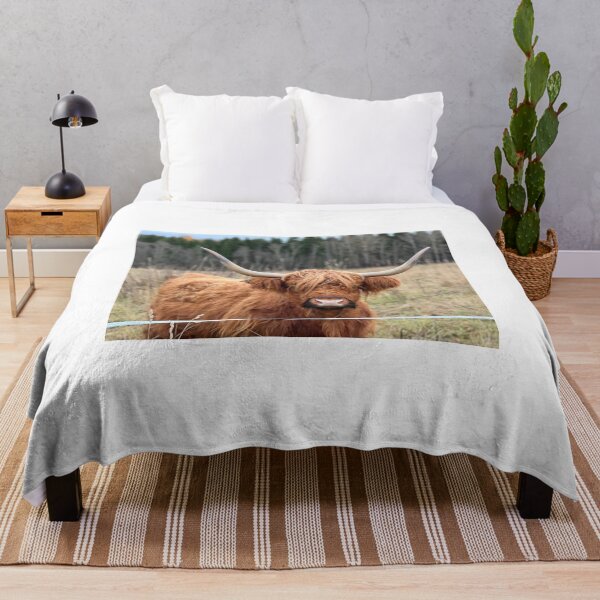 Item preview, Scottish Highland Cattle Cow 4133 designed and sold by SaarelaHighland.