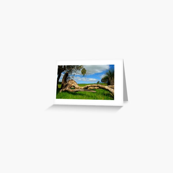 Tree put out to Pasture Greeting Card