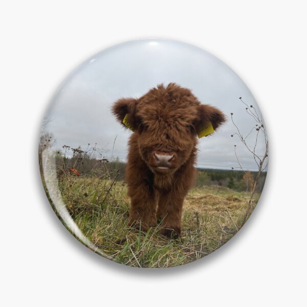 Item preview, Scottish Highland Cattle Calf 4134 designed and sold by SaarelaHighland.