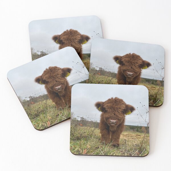 Item preview, Scottish Highland Cattle Calf 4134 designed and sold by SaarelaHighland.