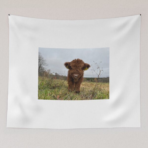 Item preview, Scottish Highland Cattle Calf 4134 designed and sold by SaarelaHighland.