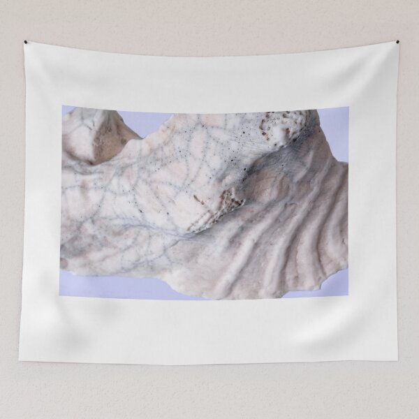 Item preview, Clam Shell on Sea Blue designed and sold by Stephen Frost.
