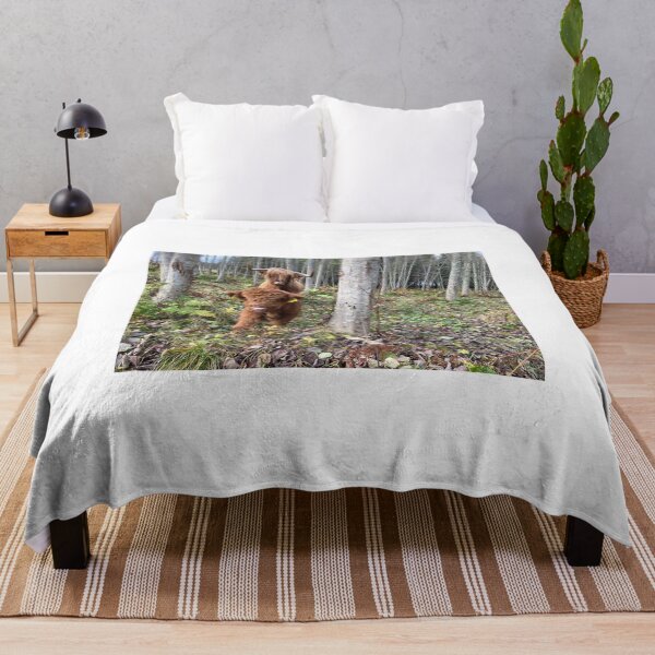 Item preview, Scottish Highland Cattle Cow and Calf 4136 designed and sold by SaarelaHighland.