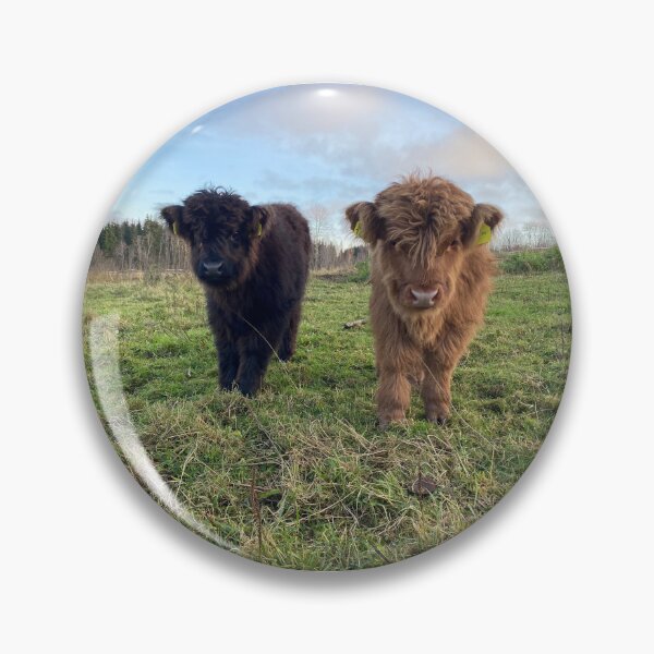 Item preview, Scottish Highland Cattle Calves 4137 designed and sold by SaarelaHighland.