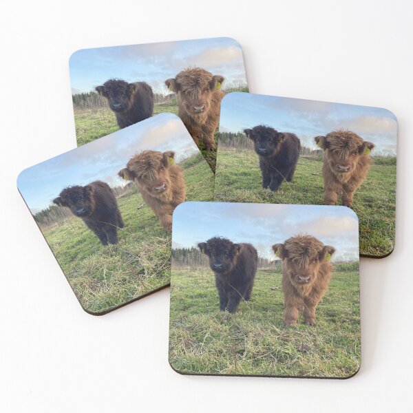 Item preview, Scottish Highland Cattle Calves 4137 designed and sold by SaarelaHighland.