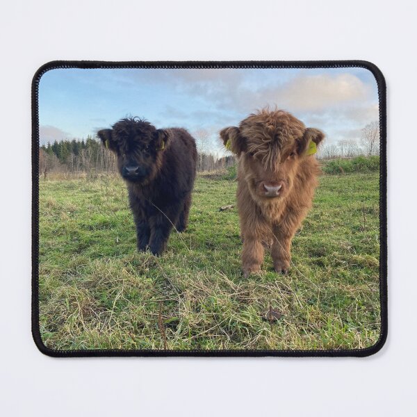 Item preview, Scottish Highland Cattle Calves 4137 designed and sold by SaarelaHighland.