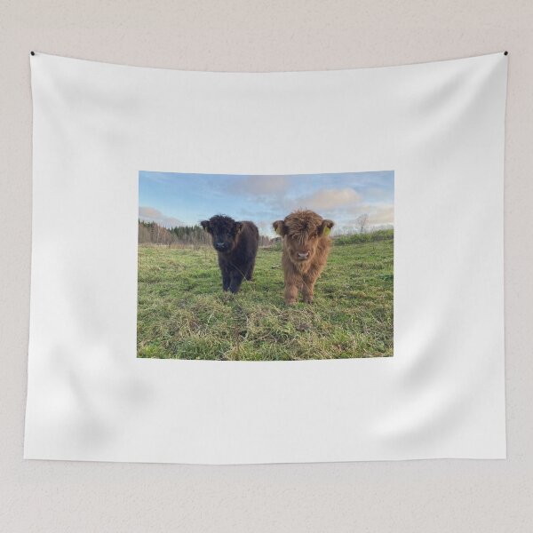 Item preview, Scottish Highland Cattle Calves 4137 designed and sold by SaarelaHighland.