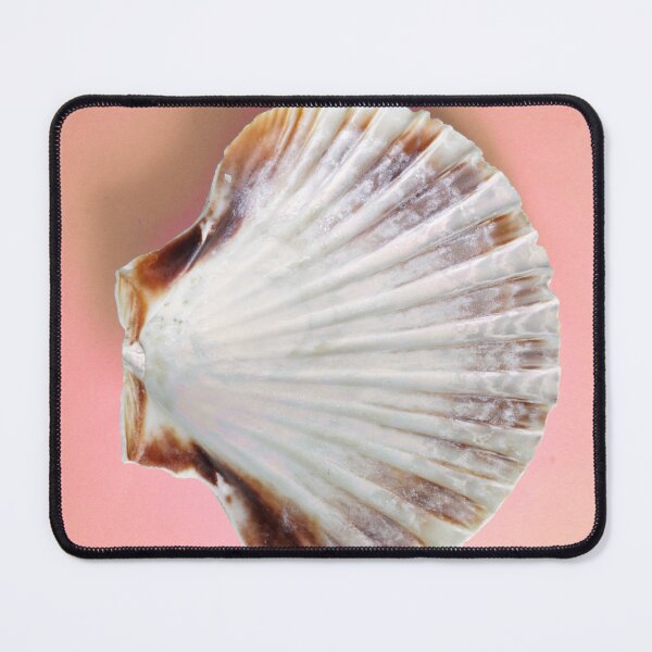 Item preview, Scallop Shell on pink designed and sold by Stephen Frost.