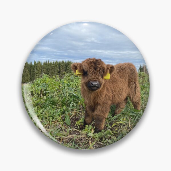 Item preview, Scottish Highland Cattle Calf 4138 designed and sold by SaarelaHighland.