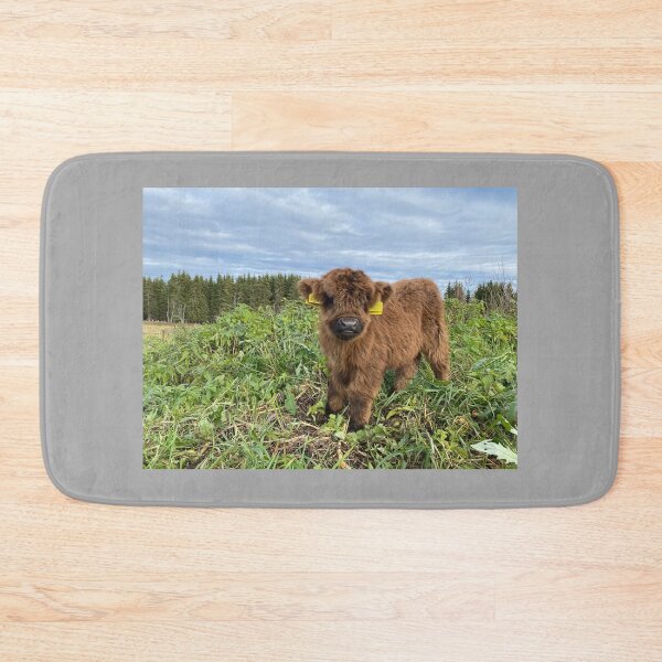 Item preview, Scottish Highland Cattle Calf 4138 designed and sold by SaarelaHighland.
