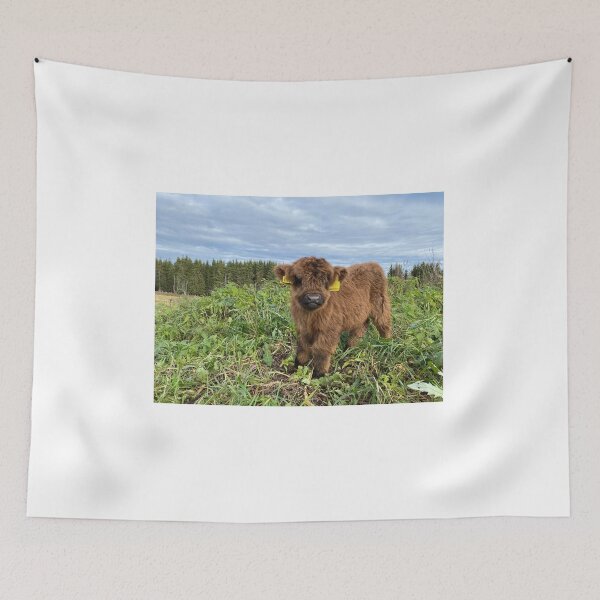 Item preview, Scottish Highland Cattle Calf 4138 designed and sold by SaarelaHighland.