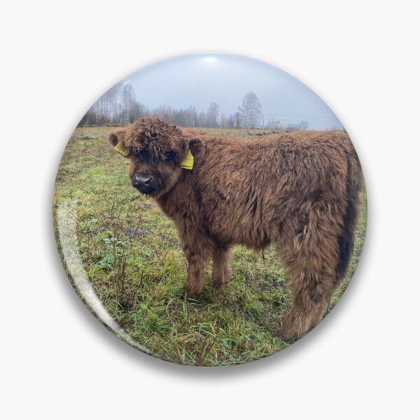 Item preview, Scottish Highland Cattle Calf 4141 designed and sold by SaarelaHighland.