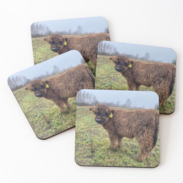Item preview, Scottish Highland Cattle Calf 4141 designed and sold by SaarelaHighland.