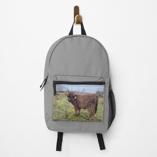 Item preview, Scottish Highland Cattle Calf 4141 designed and sold by SaarelaHighland.