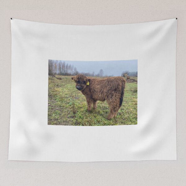 Item preview, Scottish Highland Cattle Calf 4141 designed and sold by SaarelaHighland.
