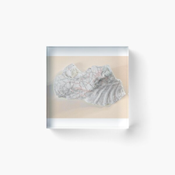 Item preview, Clam Shell on pink designed and sold by Stephen Frost.