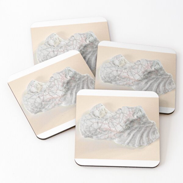 Item preview, Clam Shell on pink designed and sold by Stephen Frost.