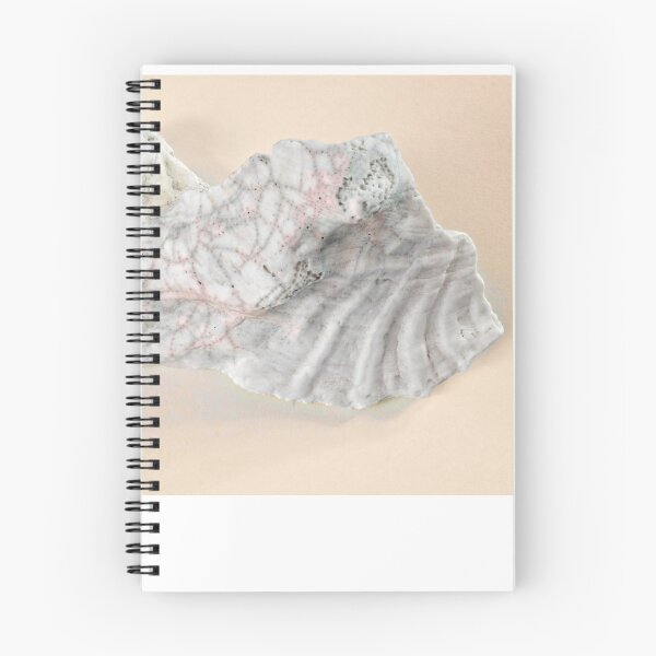 Item preview, Clam Shell on pink designed and sold by Stephen Frost.
