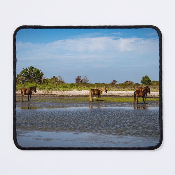 Item preview, Shackleford Wild Horses designed and sold by Daniel's Destinations.