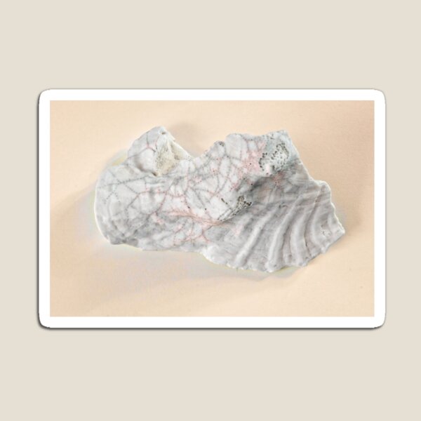 Item preview, Clam Shell on pink designed and sold by Stephen Frost.