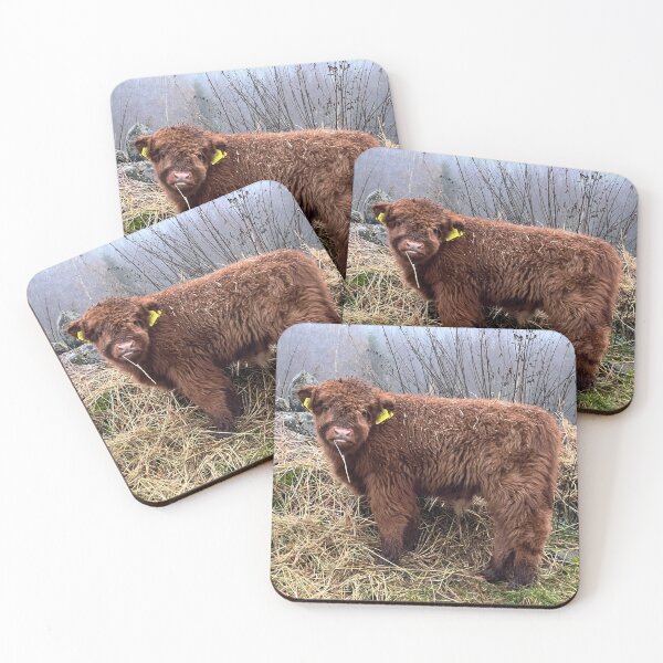 Artikelvorschau, Scottish Highland Cattle Calf 4142 entworfen und verkauft von SaarelaHighland.