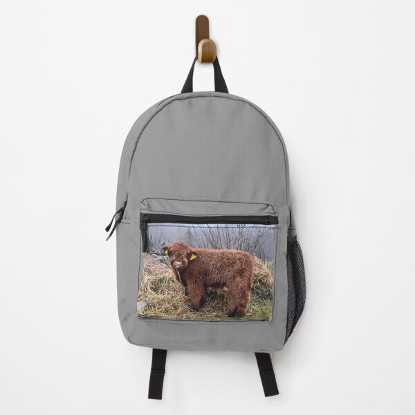Item preview, Scottish Highland Cattle Calf 4142 designed and sold by SaarelaHighland.
