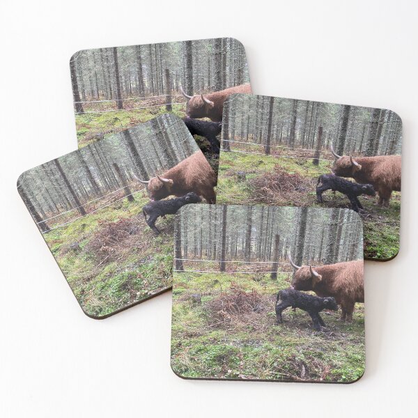 Item preview, Scottish Highland Cattle Cow and newborn calf 4144 designed and sold by SaarelaHighland.