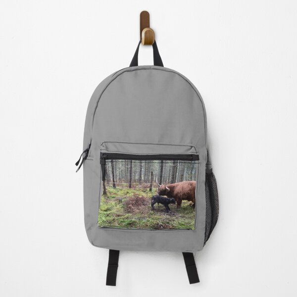 Item preview, Scottish Highland Cattle Cow and newborn calf 4144 designed and sold by SaarelaHighland.