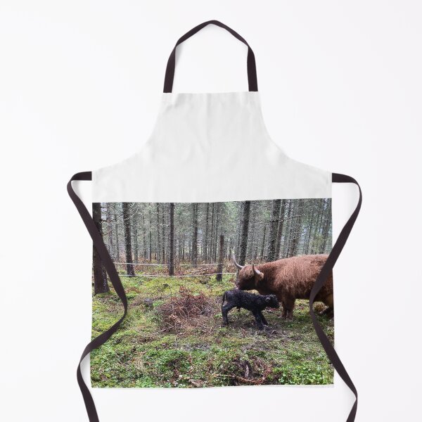 Item preview, Scottish Highland Cattle Cow and newborn calf 4144 designed and sold by SaarelaHighland.