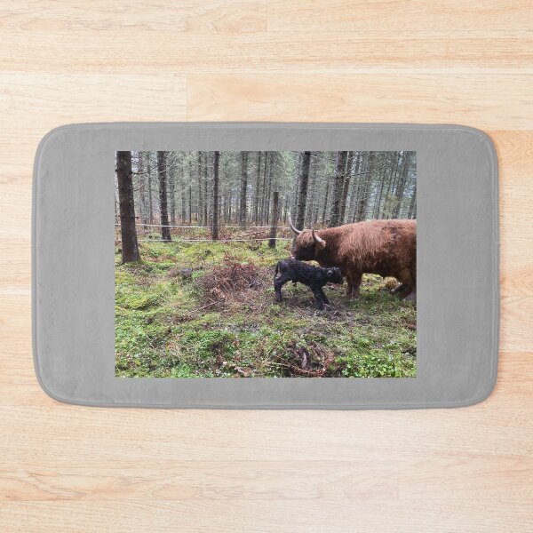 Item preview, Scottish Highland Cattle Cow and newborn calf 4144 designed and sold by SaarelaHighland.