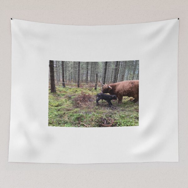Item preview, Scottish Highland Cattle Cow and newborn calf 4144 designed and sold by SaarelaHighland.