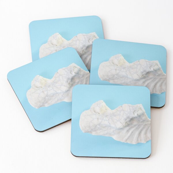 Item preview, Clam Shell on sea-blue. designed and sold by Stephen Frost.