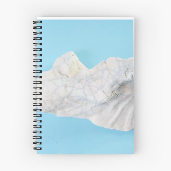 Item preview, Clam Shell on sea-blue. designed and sold by Stephen Frost.