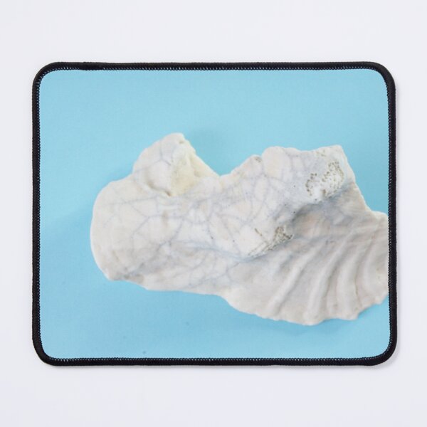 Item preview, Clam Shell on sea-blue. designed and sold by Stephen Frost.