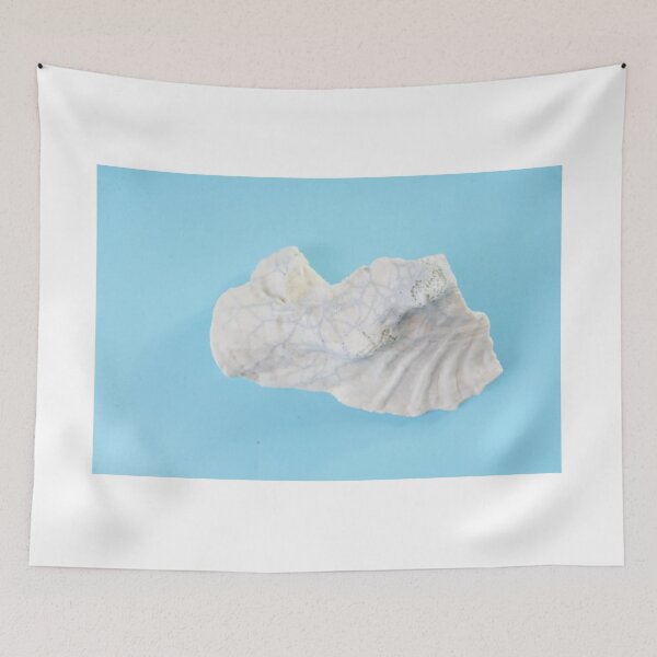 Item preview, Clam Shell on sea-blue. designed and sold by Stephen Frost.