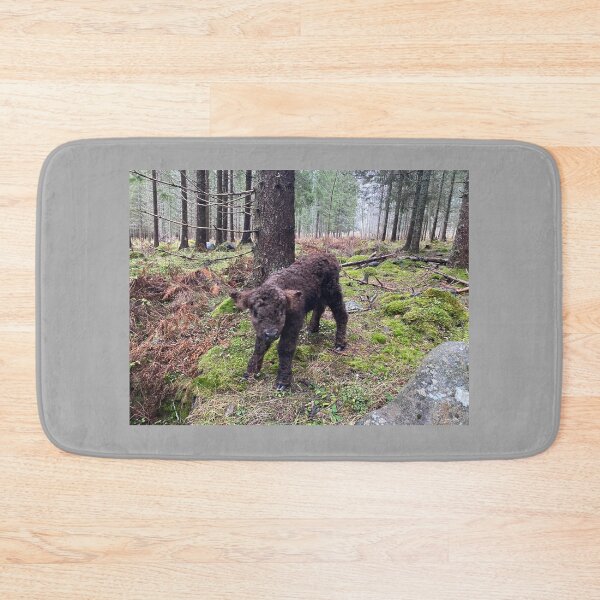 Item preview, Scottish Highland Cattle Calf 4145 designed and sold by SaarelaHighland.