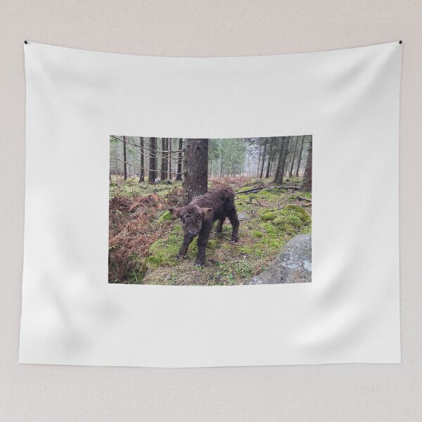 Item preview, Scottish Highland Cattle Calf 4145 designed and sold by SaarelaHighland.