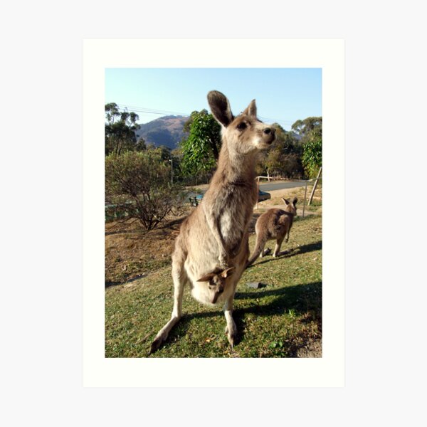 And Animals Do Roam Art Print