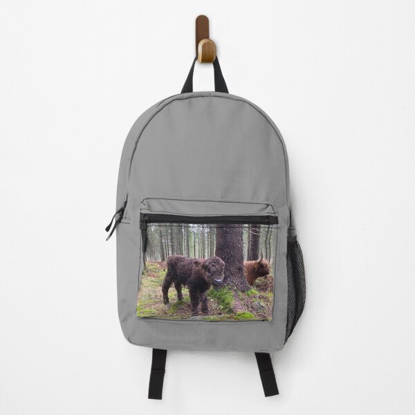 Item preview, Scottish Highland Cattle Calf 4147 designed and sold by SaarelaHighland.