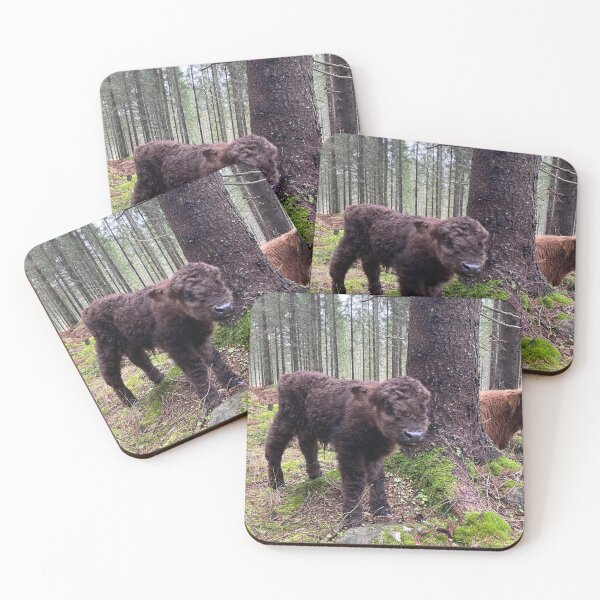 Item preview, Scottish Highland Cattle Calf 4147 designed and sold by SaarelaHighland.
